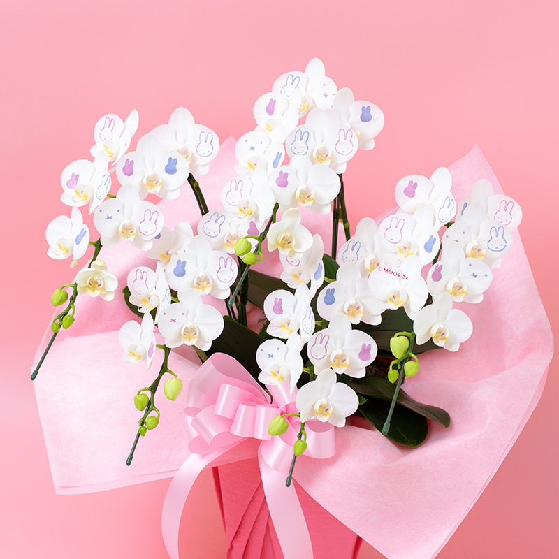 Flower Miffy パルナートポックコラボ フラワーリング チューリップ