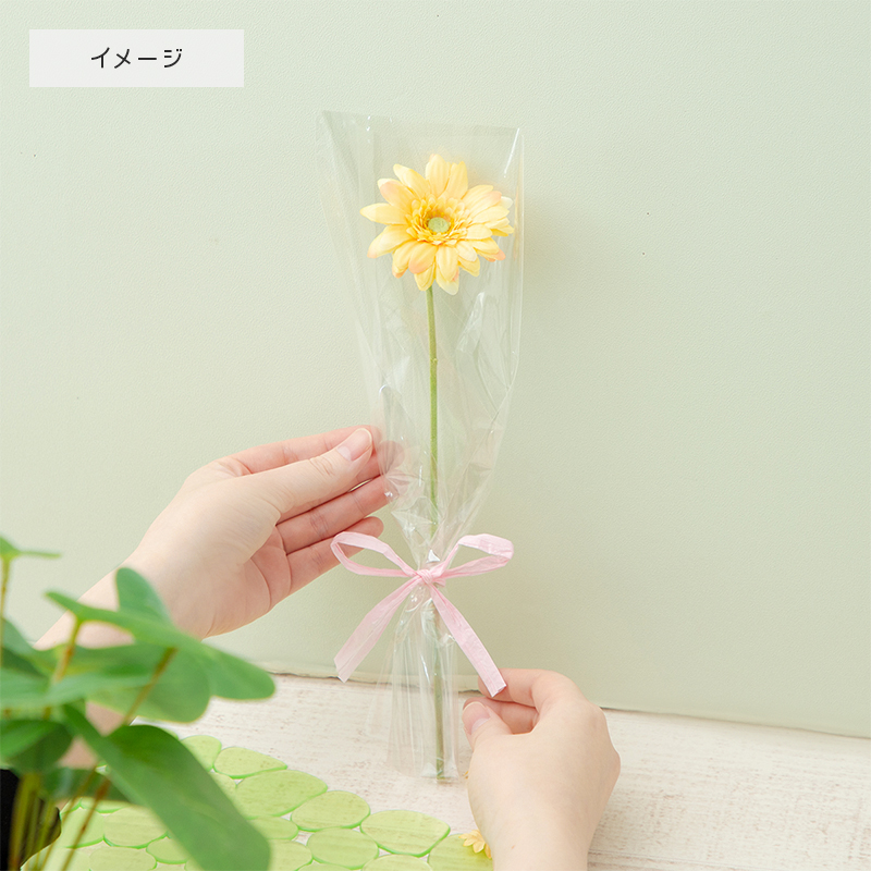 Flower Miffy 着せかえほわほわぬいぐるみ&着せかえお洋服レインコート